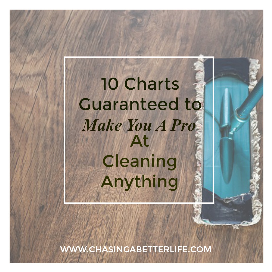 10 Charts Guaranteed to Make You A Pro At Cleaning Anything 1