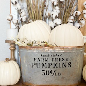 Farmhouse Pumpkin Bucket