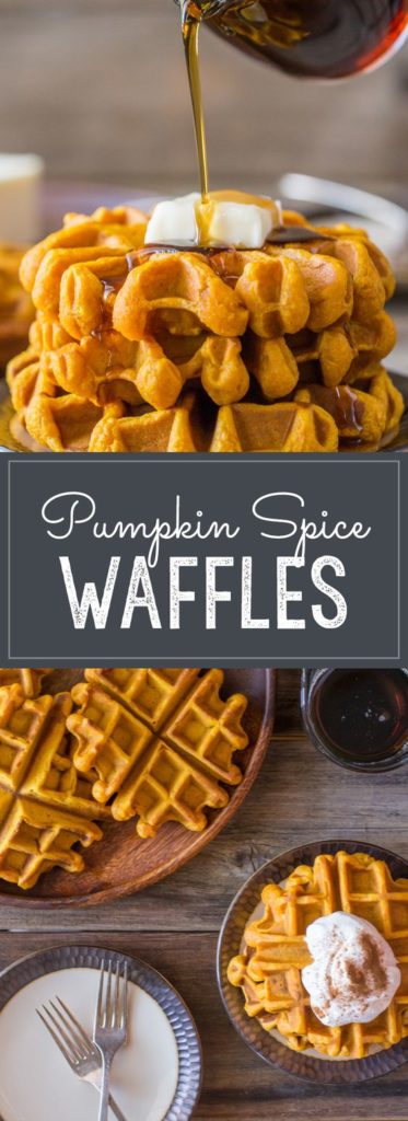 15 Best Pumpkin Recipes to Get You in the Fall Spirit 16