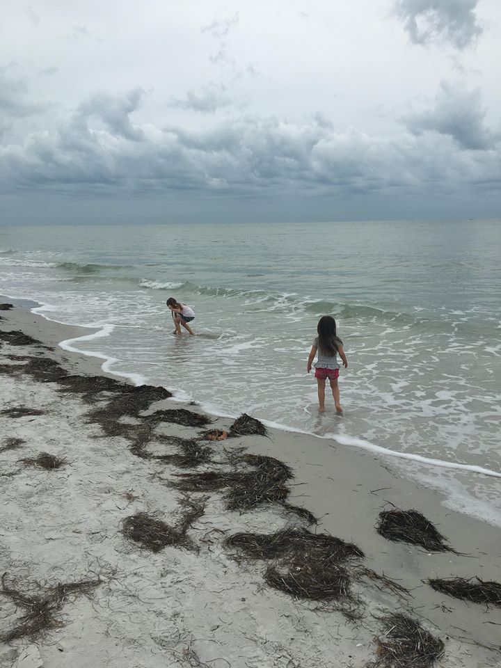 Indian Shores, Florida Family Vacation Day 1 And 2 18