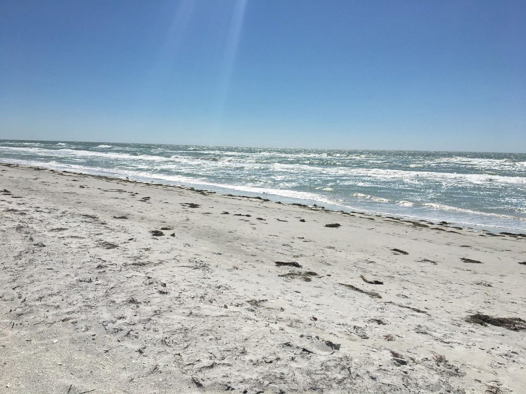 What To Do In Indian Shores Florida With Kids Day 4 And 5 12