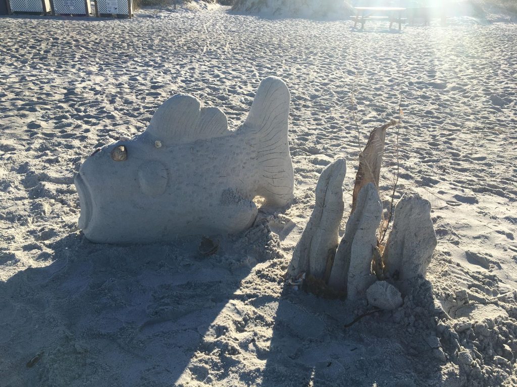 What To Do In Indian Shores Florida With Kids Day 4 And 5 17
