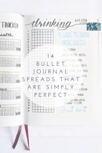 14 Bullet Journal Spreads That Are Simply Perfect 15