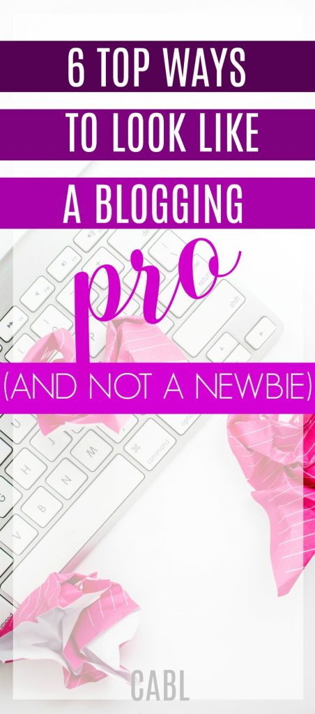 6 Top Tips to Look like a Blogging Pro (and not a Newbie!) 1