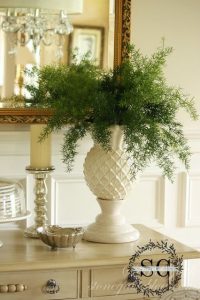 7 Hard to Kill Plants and How To Incorporate Them With Style 7