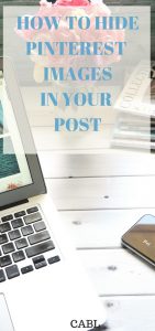 How To Hide Images In Your Blog Post 4