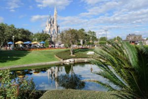 5 Things in Walt Disney World You Need Cash For 11