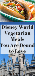 vegetarian disney world