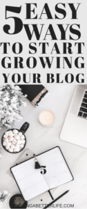 5 Easy and Simple Ways To Start Growing Your Blog 5