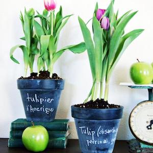 50 Mother's Day DIY Ideas She Will Love That Are Inexpensive & Ridiculously Easy 52