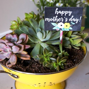 50 Mother's Day DIY Ideas She Will Love That Are Inexpensive & Ridiculously Easy 57