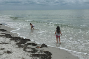 Indian Shores, Florida Family Vacation Day 1 And 2 12