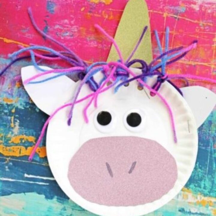 22 Crazy Adorable Unicorn Crafts for Toddlers, Teens and Adults 8
