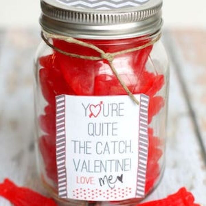 30 SUPER SWEET DIY VALENTINE’S DAY MASON JAR IDEAS