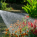 Master the Art of Watering: Unleash the Full Potential of Your Plants This Summer 5