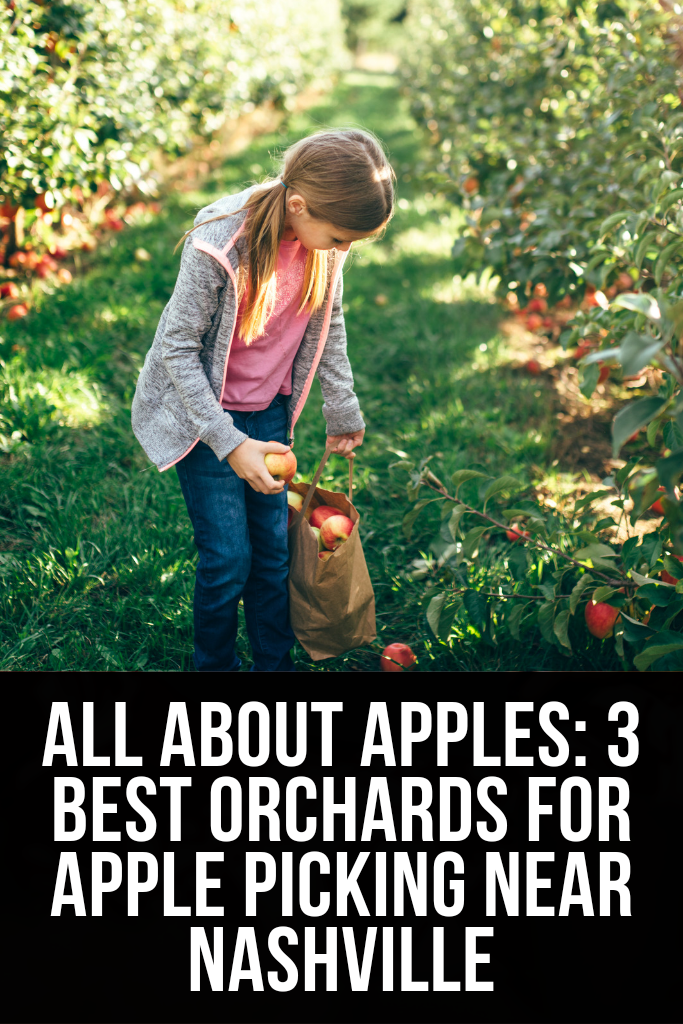 Best Orchards for Apple Picking Near Nashville