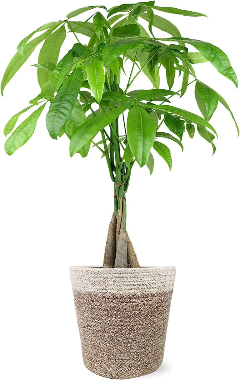 10 Unbelievable Ways to Elevate Your Home Decor