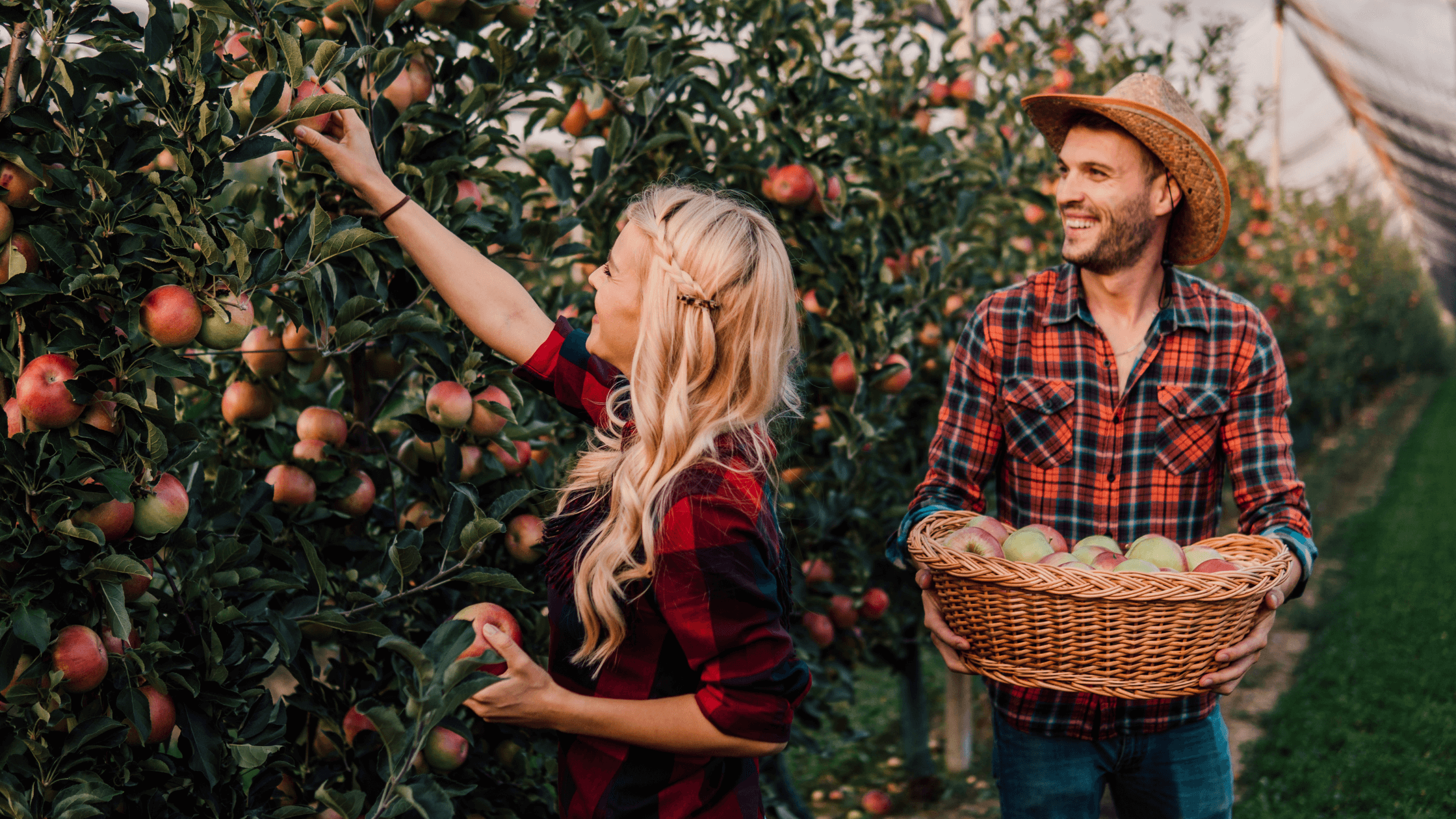 Fall in Love This Autumn: The Apple Picking Date You Won't Forget 5