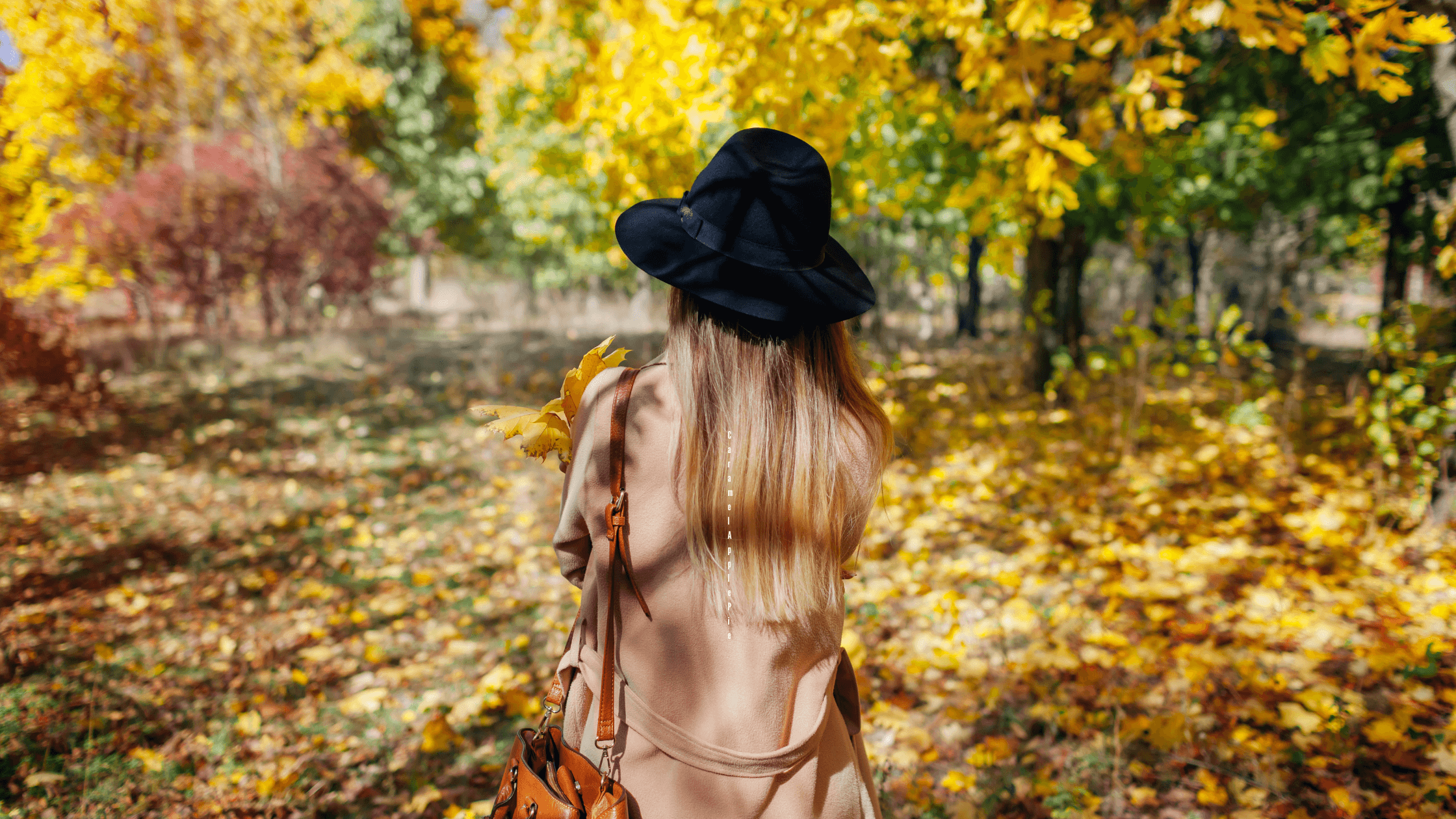 walking among fall leaves